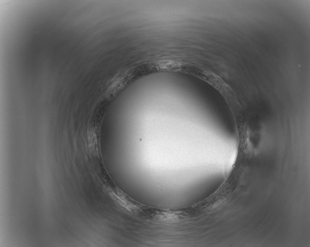 X0000053020523200507152017