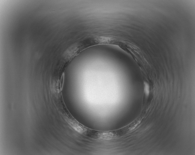 X0000053020525200507152017