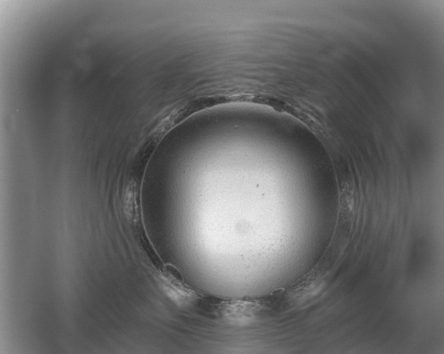 X0000053020527200507152017