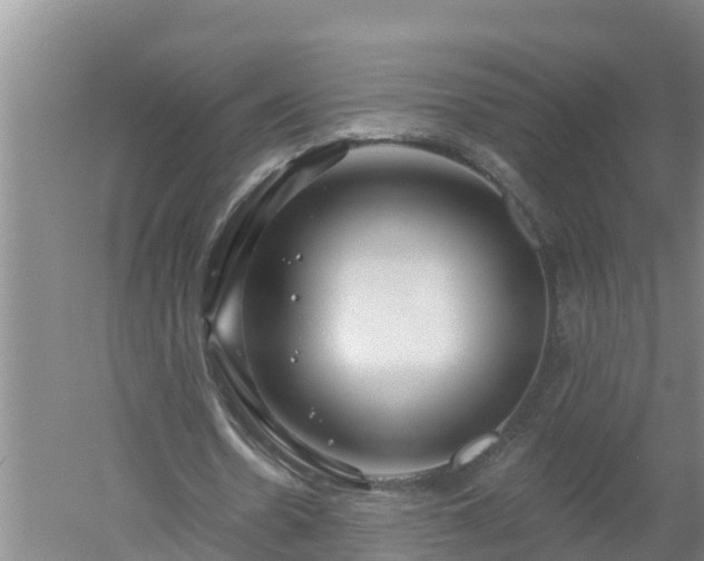 X0000053020530200507152016