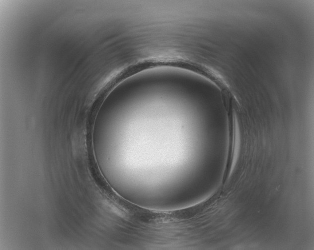 X0000053020535200507152016