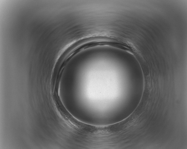 X0000053020536200507152016