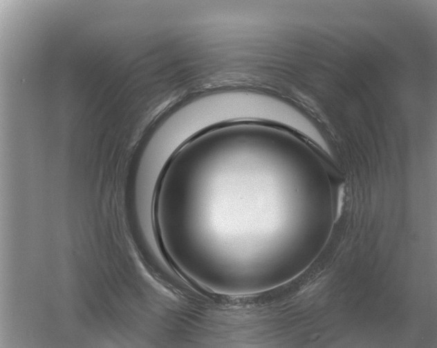 X0000053020538200507152016