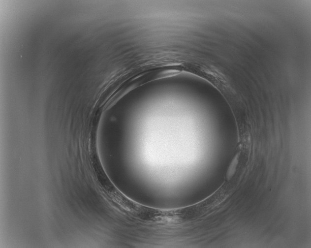 X0000053020552200507152017