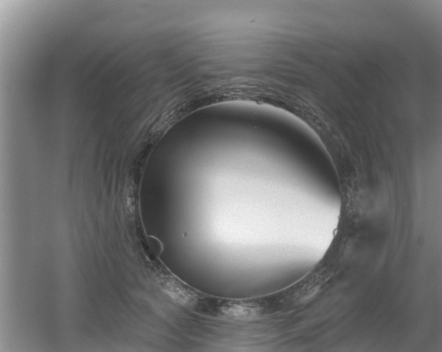 X0000053020561200507152017