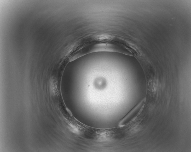 X0000053020564200507152017