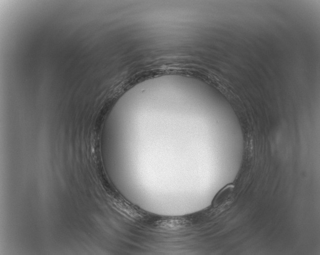 X0000053020567200507152017