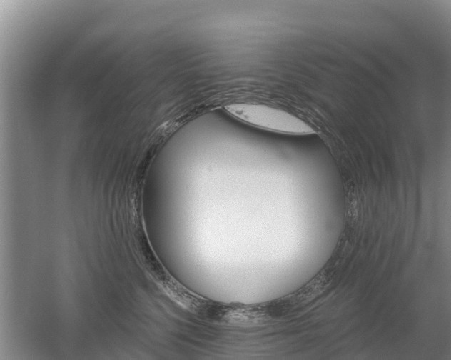 X0000053020568200507152017