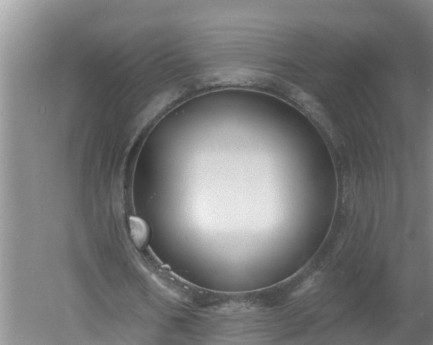 X0000053020578200507152016