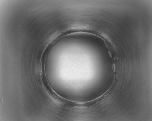 X0000053020582200507152016