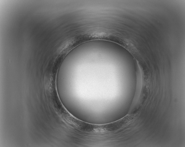 X0000053020591200507152016