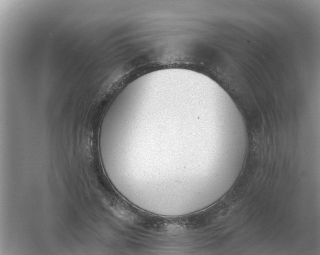 X0000053020592200507152016