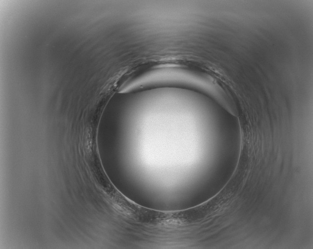 X0000053020593200507152016