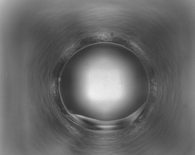 X0000053020597200507152016