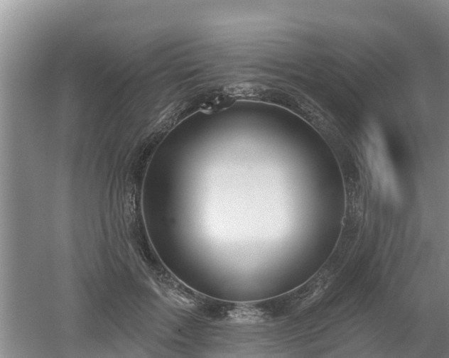 X0000053020603200507152016