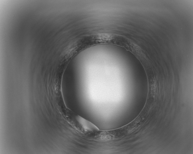 X0000053020608200507152016