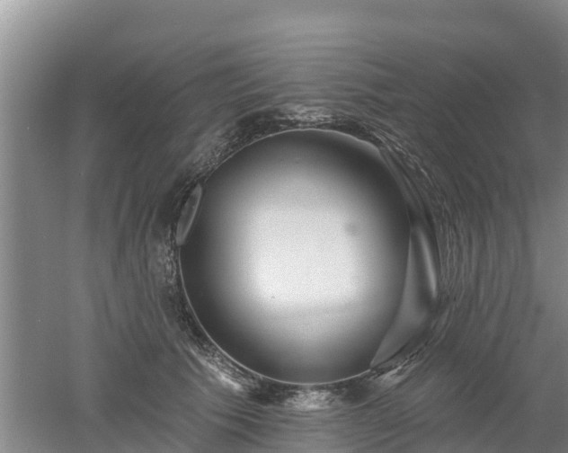 X0000053020609200507152016