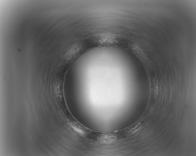 X0000053020619200507152015