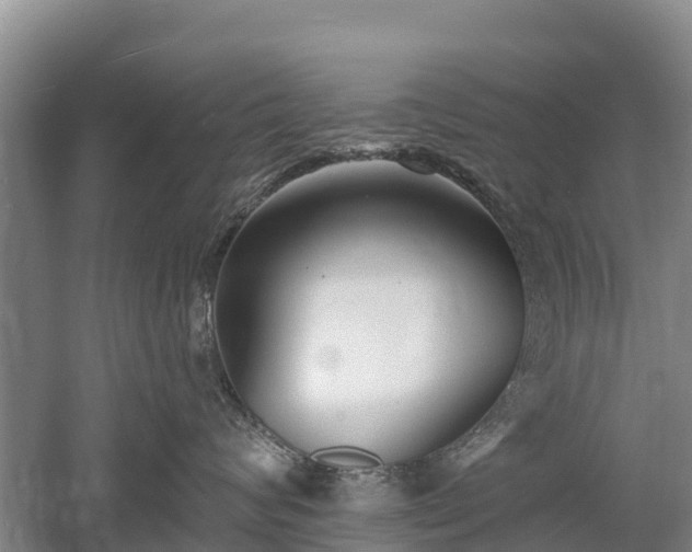 X0000053020624200507152015