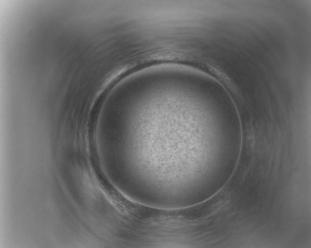 X0000053020626200507152014