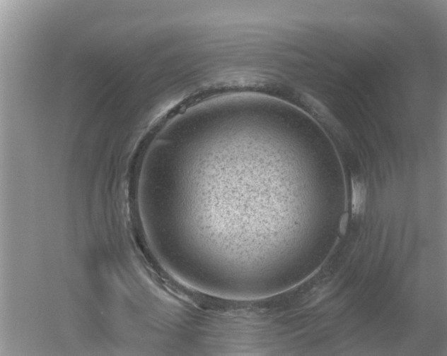 X0000053020627200507152015