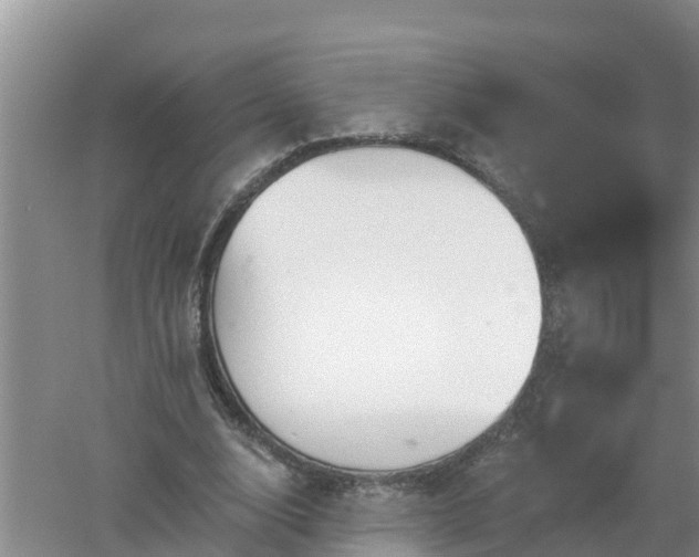 X0000053020632200507152015