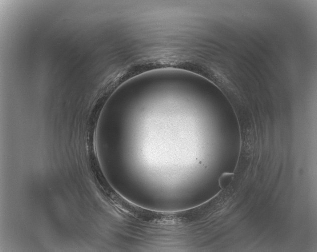 X0000053020639200507152015