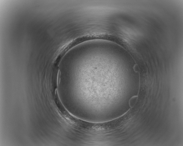 X0000053020640200507152015