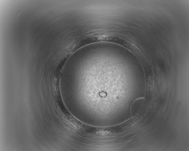 X0000053020650200507152015