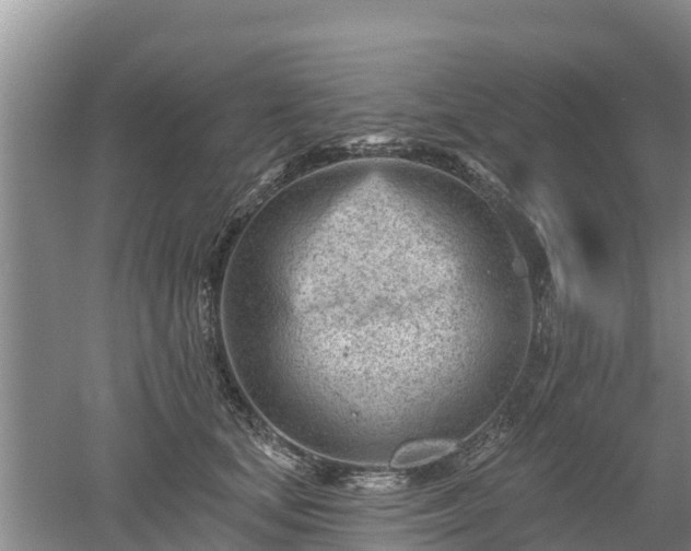 X0000053020659200507152015