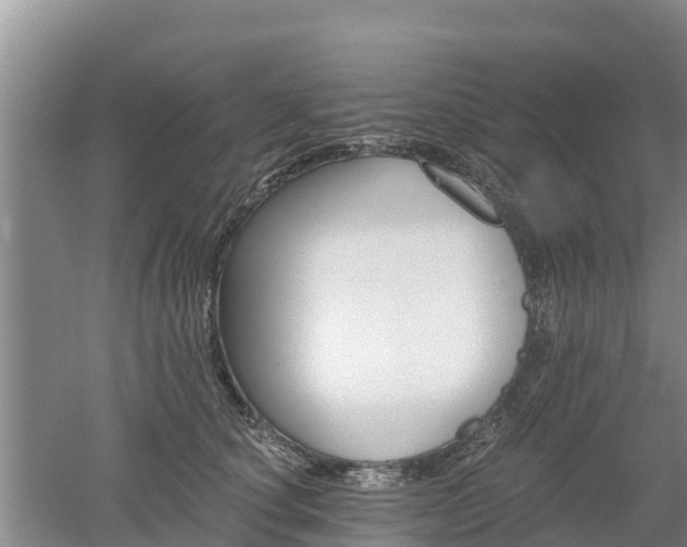 X0000053020660200507152015