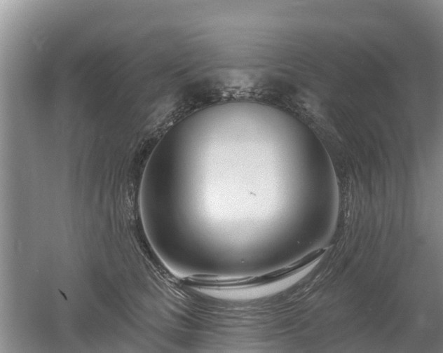 X0000053020661200507152015