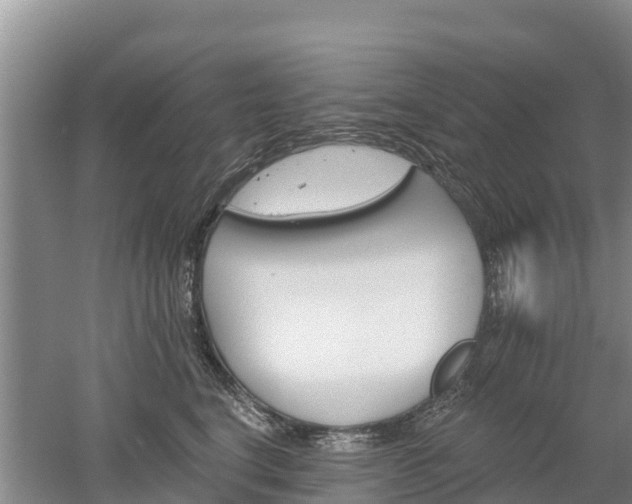 X0000053020664200507152015