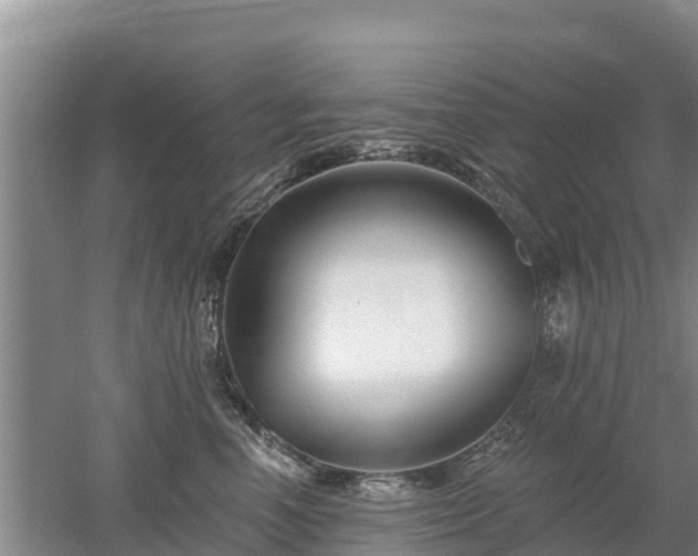 X0000053020666200507152015