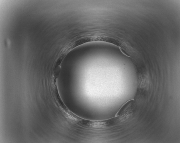 X0000053020670200507152015