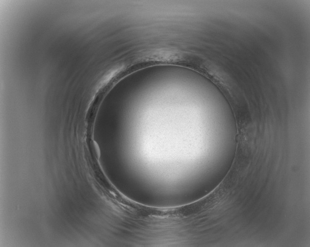 X0000053020679200507152014