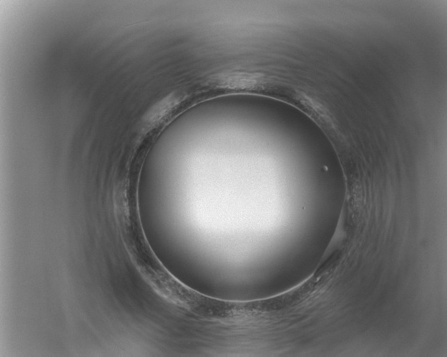 X0000053020682200507152014