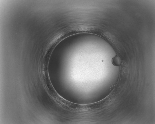 X0000053020683200507152014