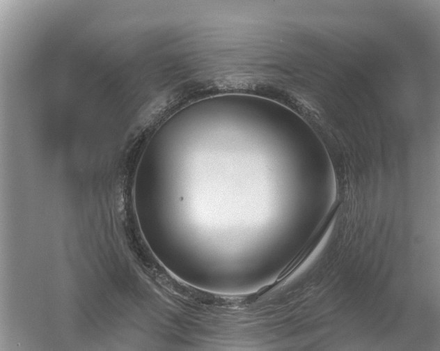 X0000053020687200507152014