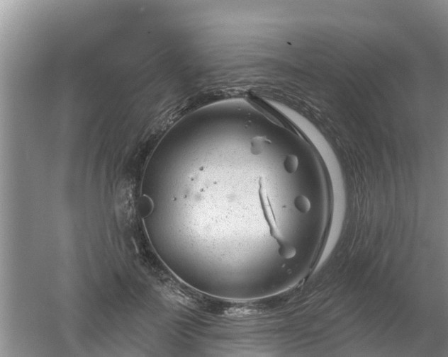 X0000053020699200507152014