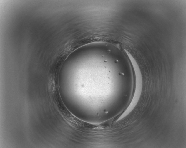 X0000053020703200507152014