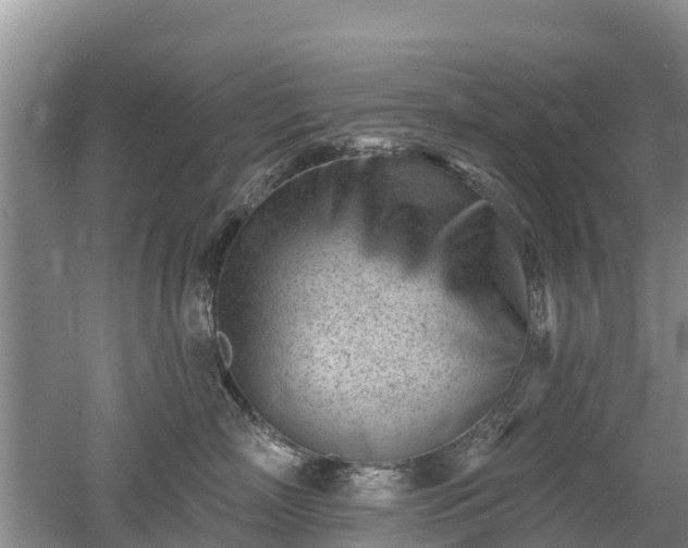 X0000053020718200507152014