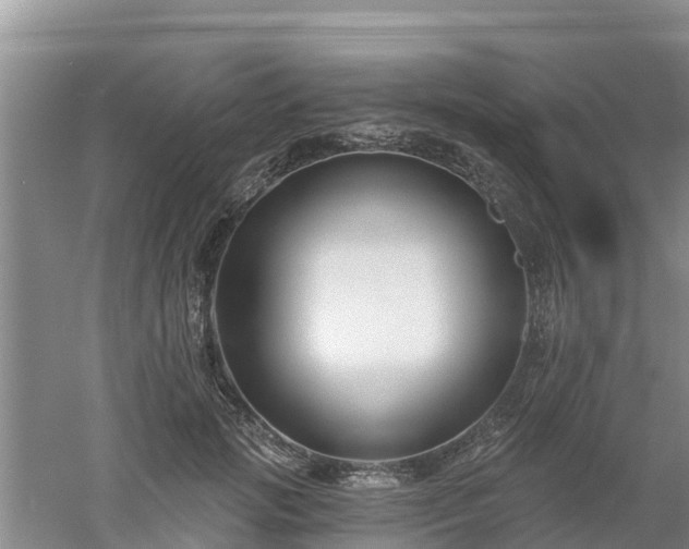 X0000053020749200507152013