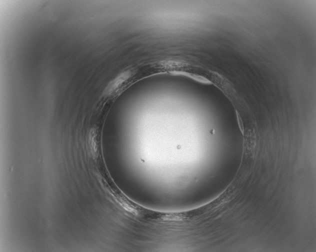 X0000053020762200507152014