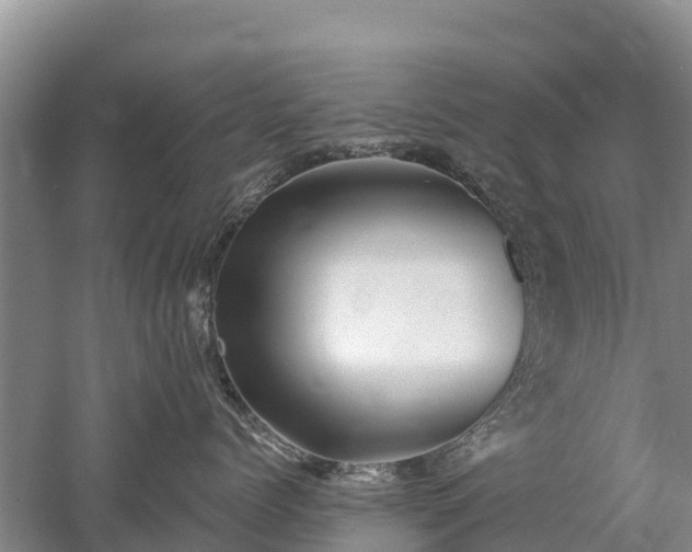 X0000053020768200507152014