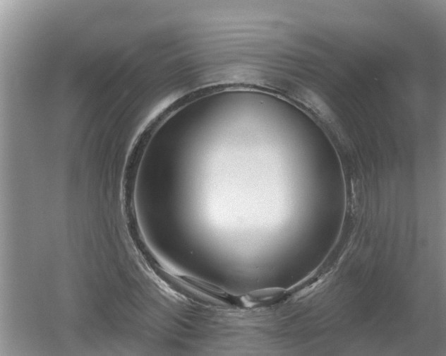 X0000053020780200507152013