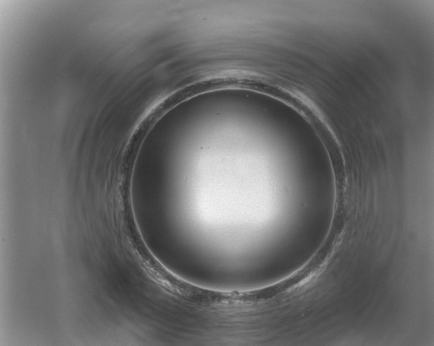X0000053020783200507152013