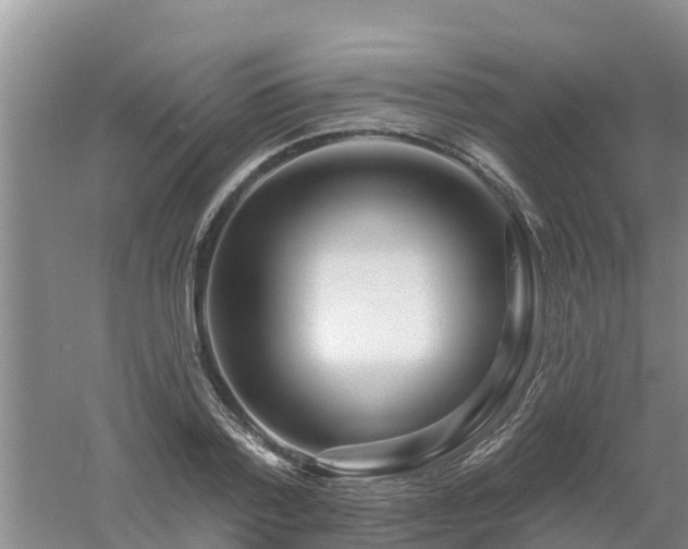 X0000053020788200507152012