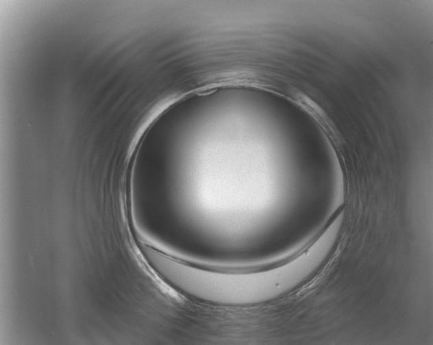 X0000053020812200507152012