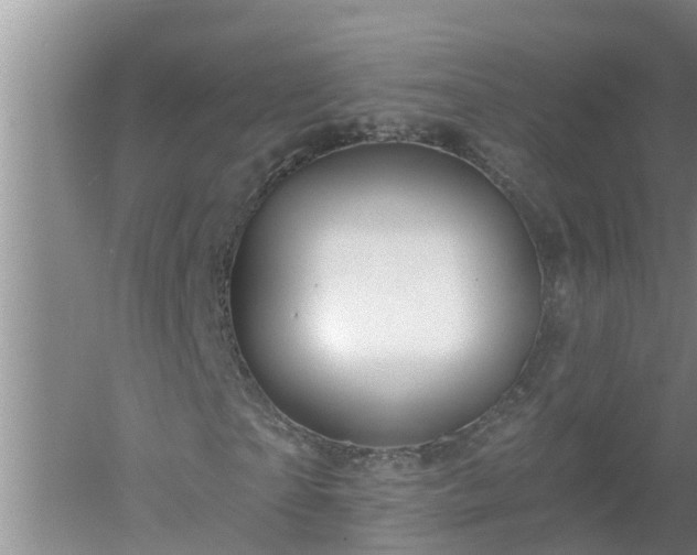 X0000053020865200507152011
